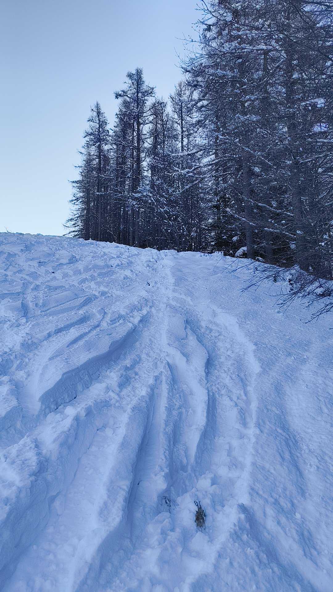 Foto n° 3 del trekking Cimone di Margno